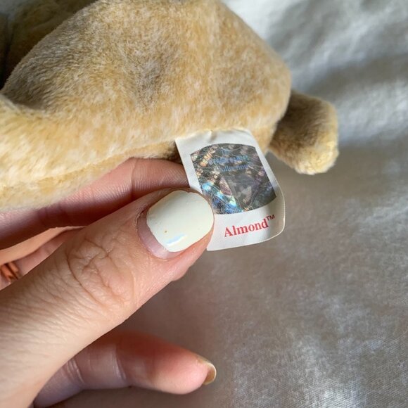 TY Beanie Baby Almond - Picture 2 of 3